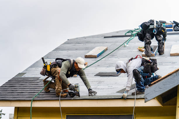 Professional Gutter Installation technician working in Mount Carmel, TN
